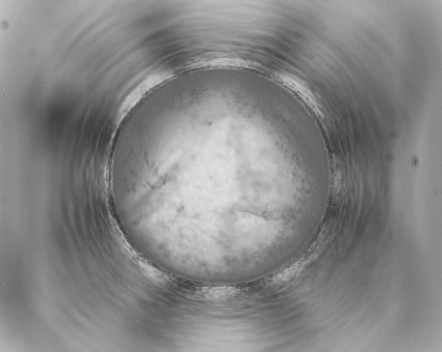 X0000087371282200705111701