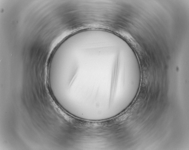 X0000087371286200705111701
