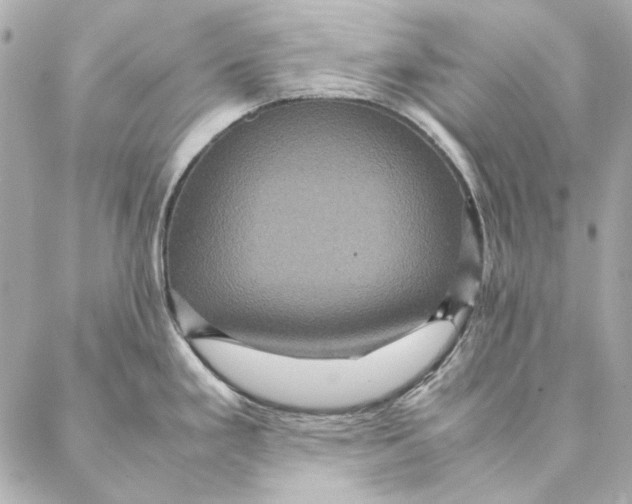 X0000087371293200705111700