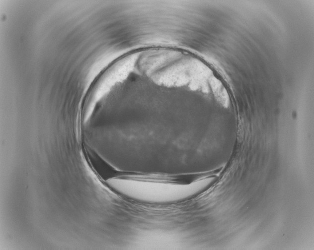 X0000087371295200705111700