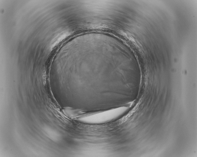 X0000087371306200705111700