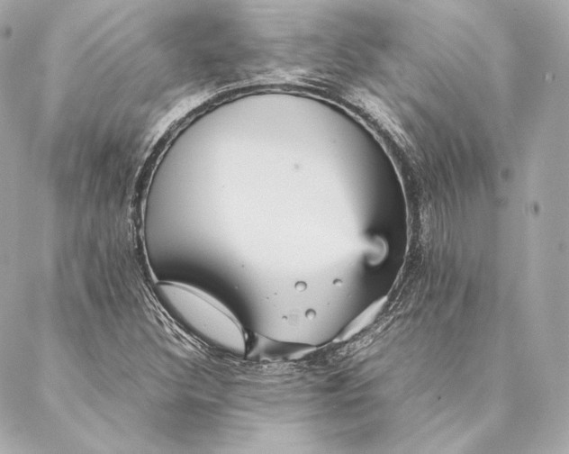 X0000087371308200705111700