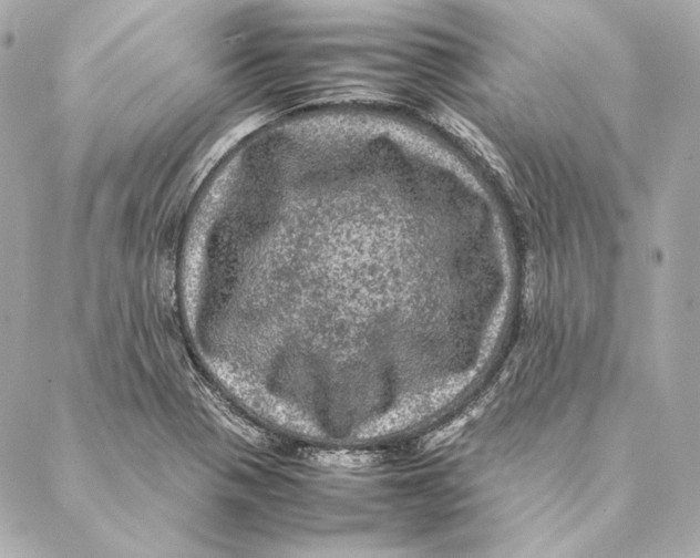 X0000087371321200705111700