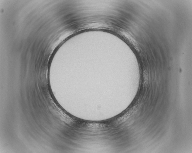 X0000087371322200705111700