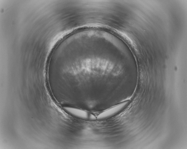X0000087371327200705111700
