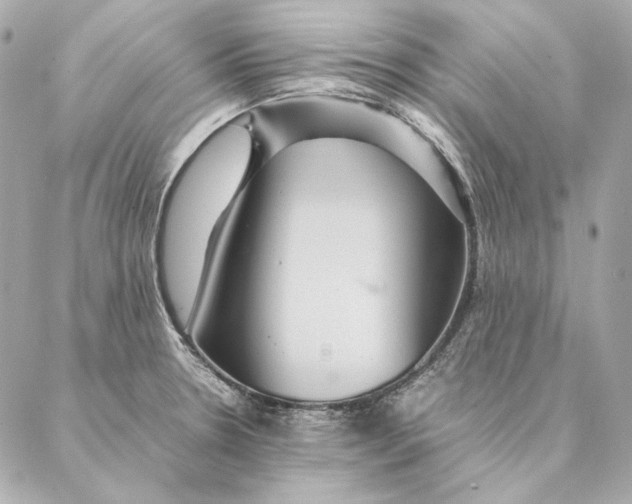 X0000087371330200705111700