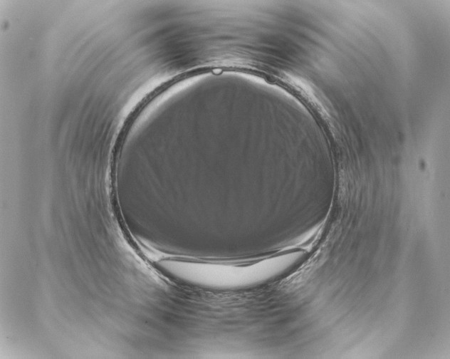 X0000087371331200705111700