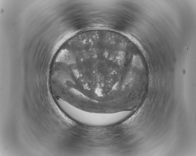 X0000087371333200705111700