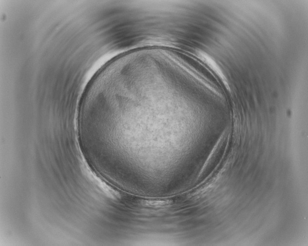 X0000087371339200705111700