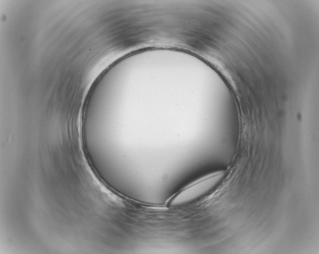 X0000087371343200705111700