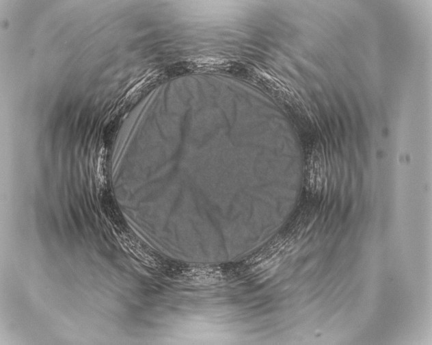 X0000087371346200705111700