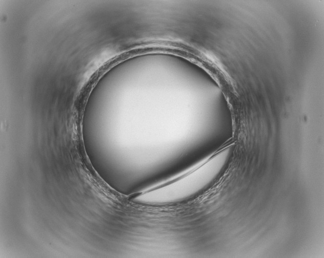 X0000087371360200705111659