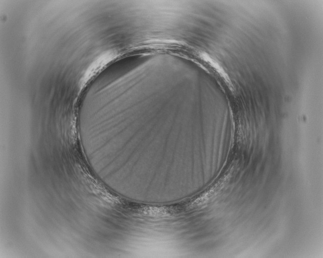 X0000087371362200705111659