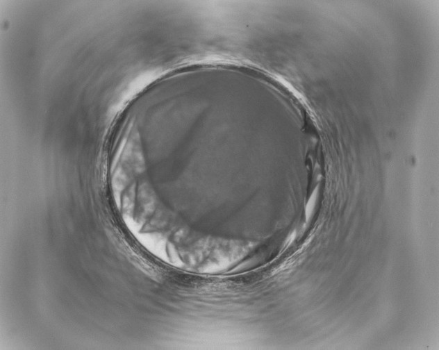 X0000087371367200705111659