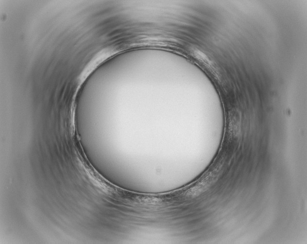 X0000087371370200705111659