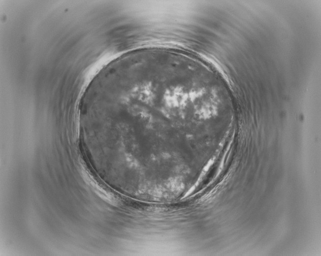 X0000087371371200705111659