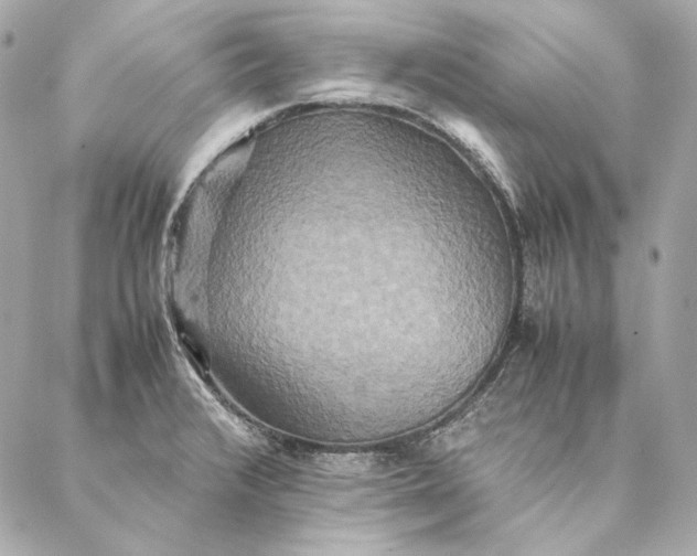 X0000087371376200705111659