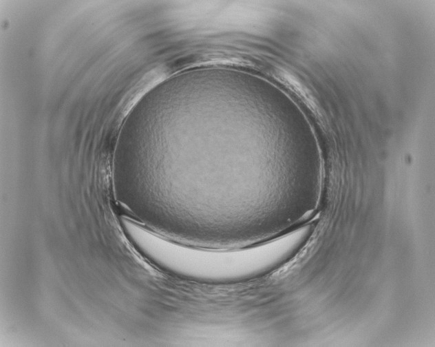 X0000087371377200705111659