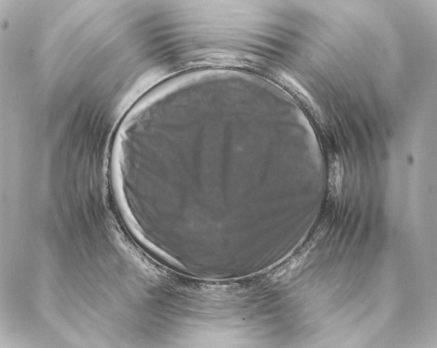 X0000087371378200705111659