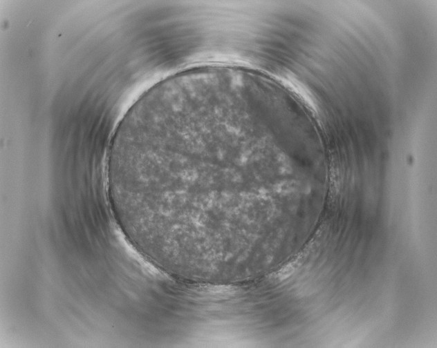 X0000087371382200705111659