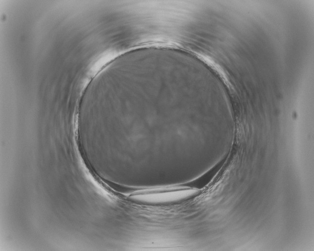 X0000087371383200705111659