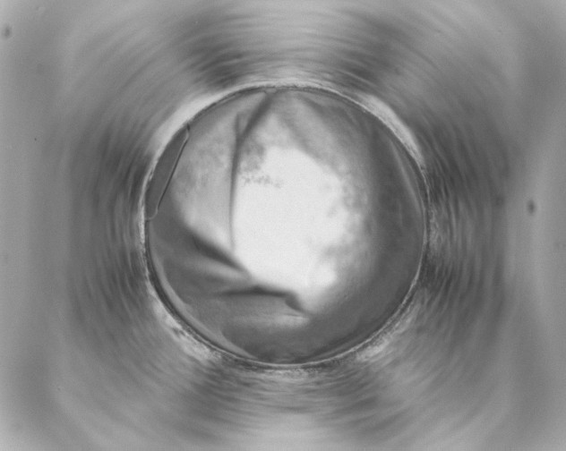 X0000087371388200705111659