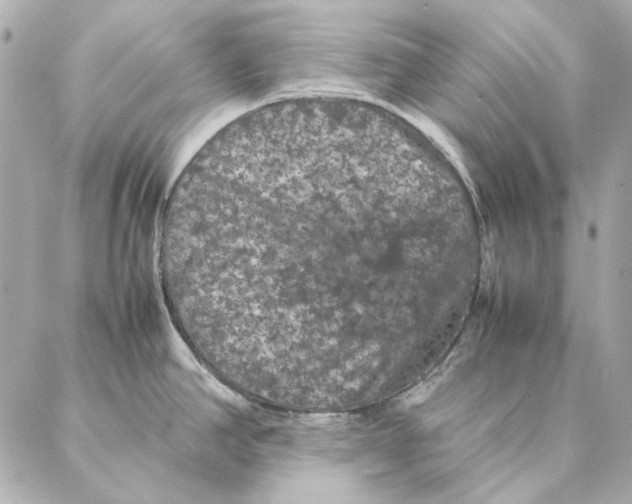 X0000087371390200705111659
