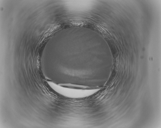 X0000087371394200705111658