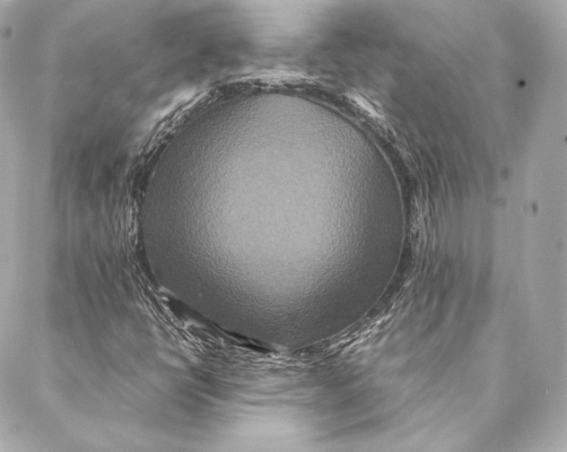 X0000087371398200705111658