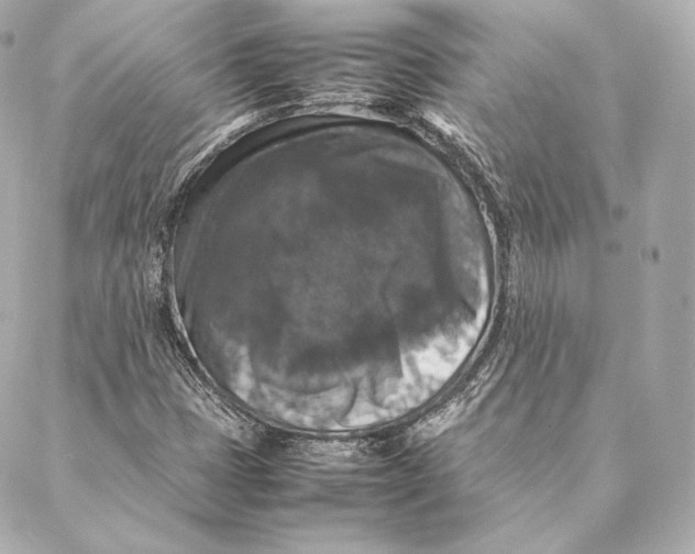 X0000087371401200705111658