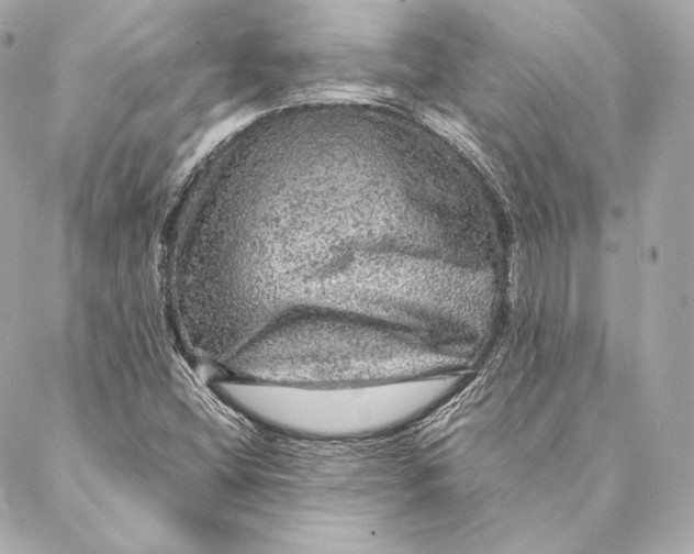 X0000087371404200705111658
