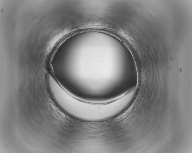 X0000087371406200705111658