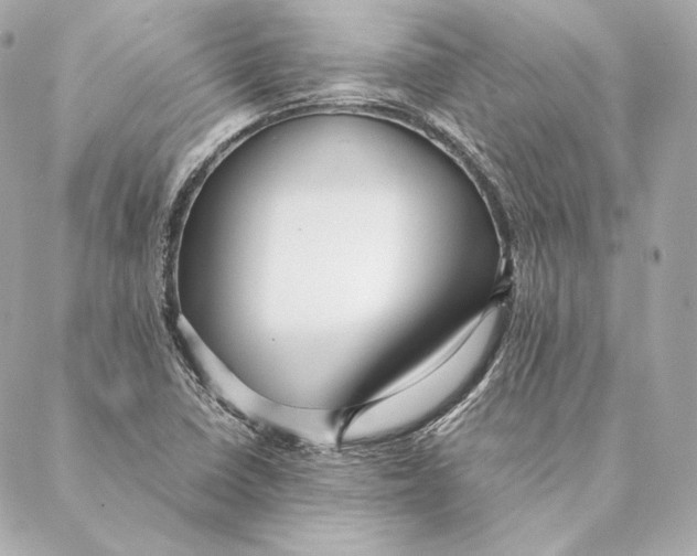 X0000087371410200705111658