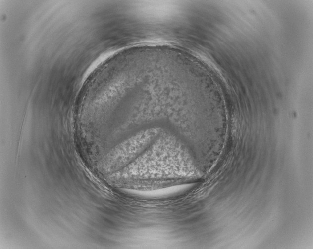 X0000087371412200705111658