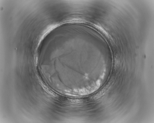 X0000087371413200705111658