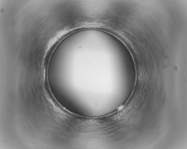 X0000087371414200705111658