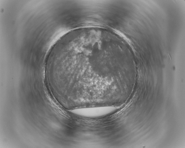 X0000087371415200705111658