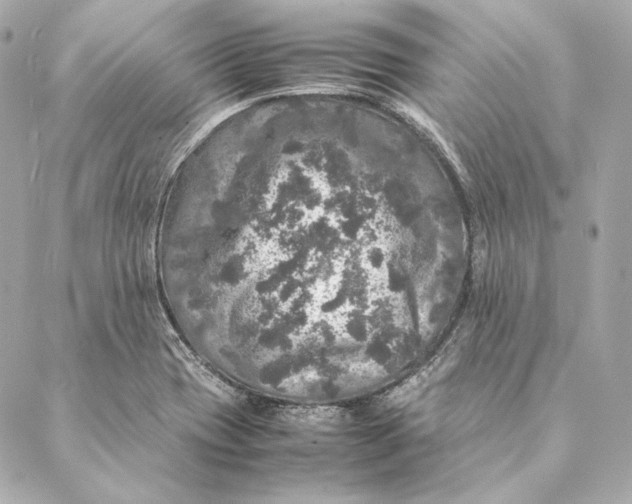 X0000087371417200705111658