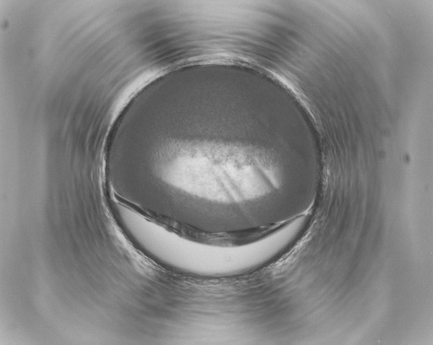 X0000087371418200705111658