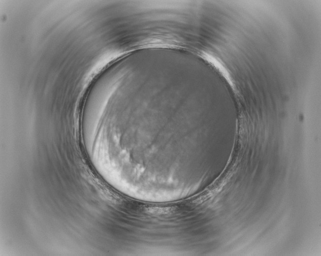 X0000087371419200705111658