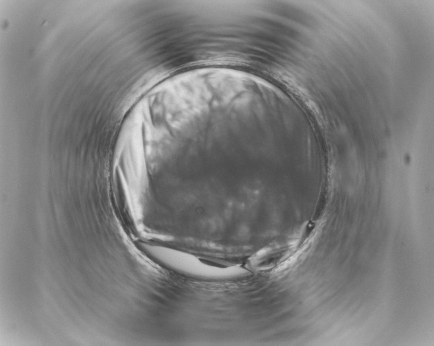 X0000087371425200705111659