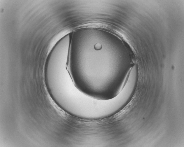 X0000087371426200705111659