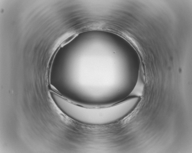 X0000087371434200705111659