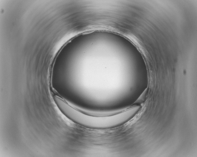 X0000087371438200705111659