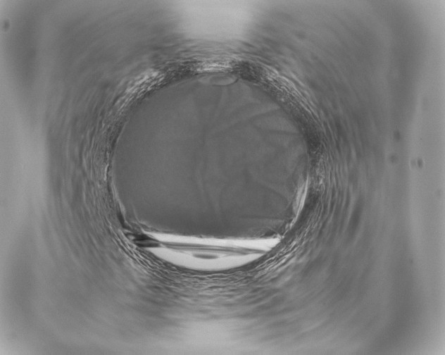 X0000087371441200705111658