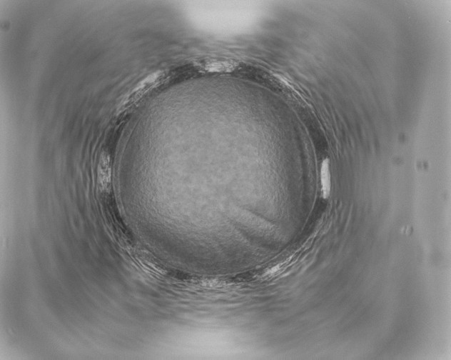 X0000087371443200705111658