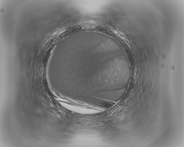 X0000087371445200705111658