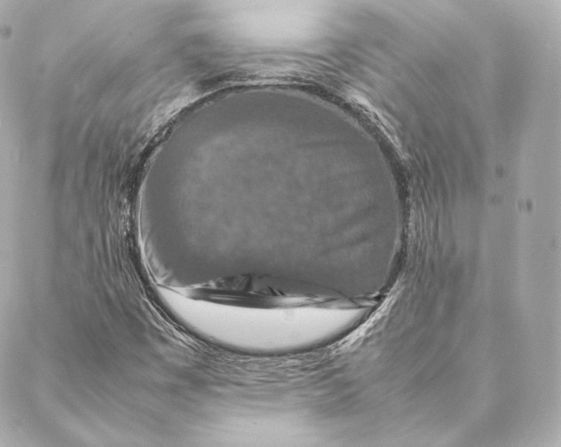 X0000087371449200705111658