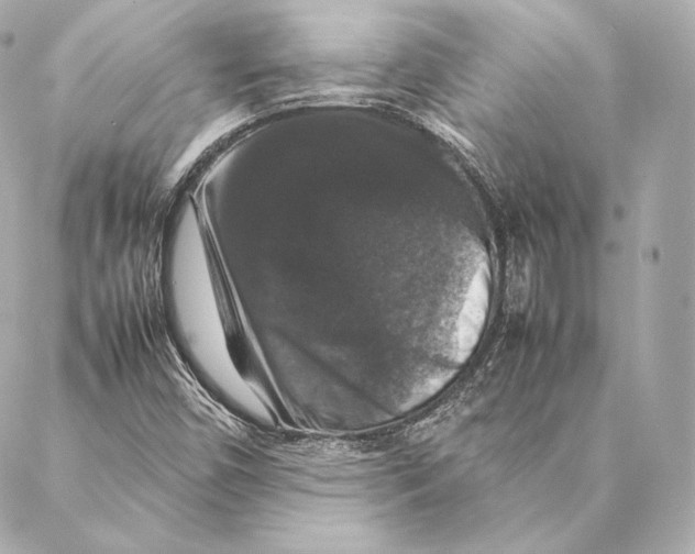 X0000087371450200705111658