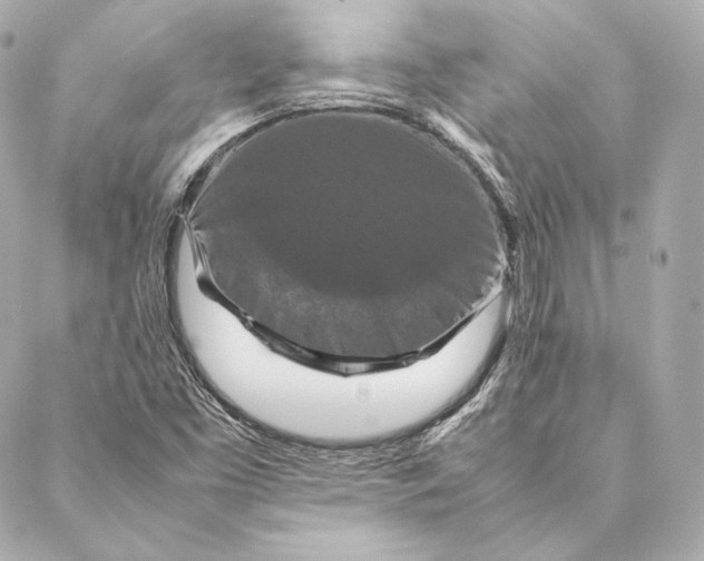 X0000087371453200705111658